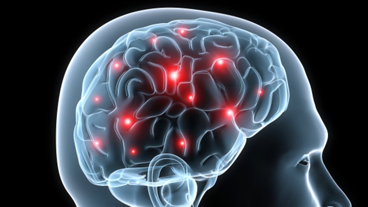 Cerveau en activité lors d'une observation