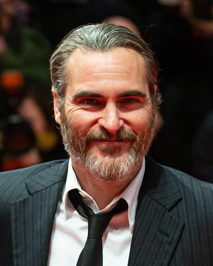 Choix de barbe masculine