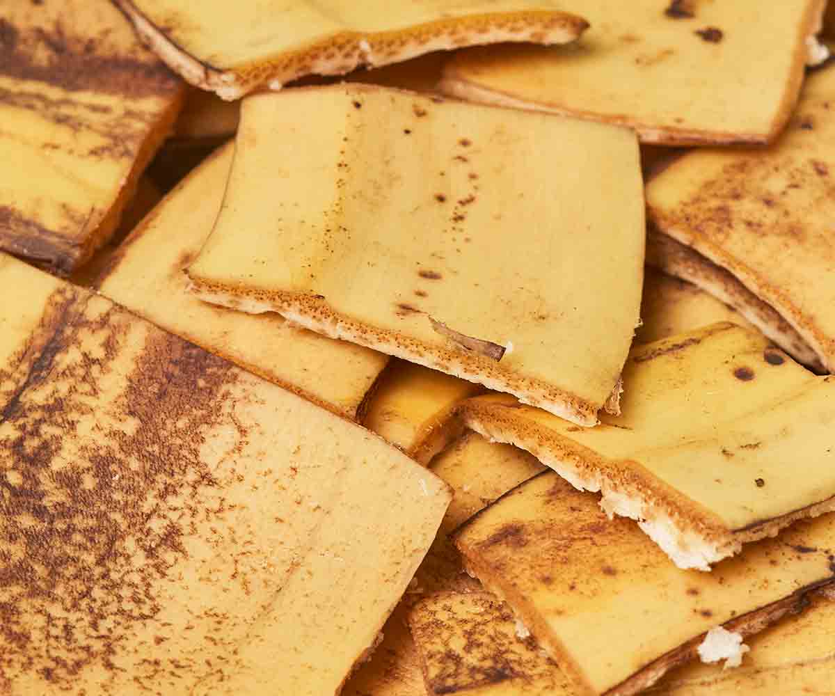 Peaux de banane en macération