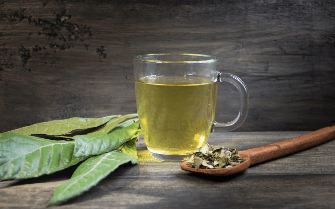Tasse de thé aux feuilles de nèfle