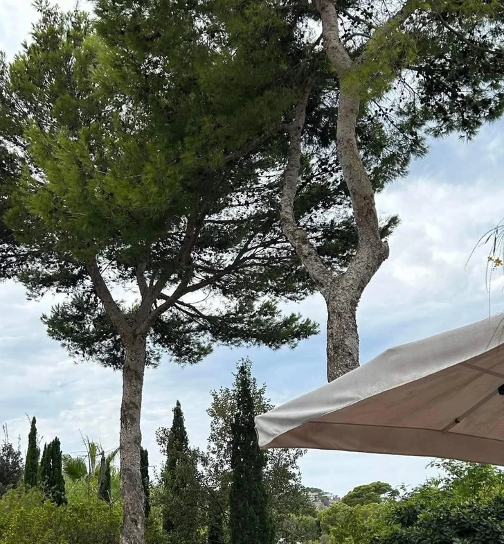 Allée mystérieuse