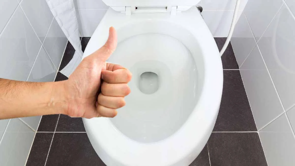 Toilettes propres après désobstruction