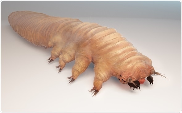 Microscopic view of Demodex mites
