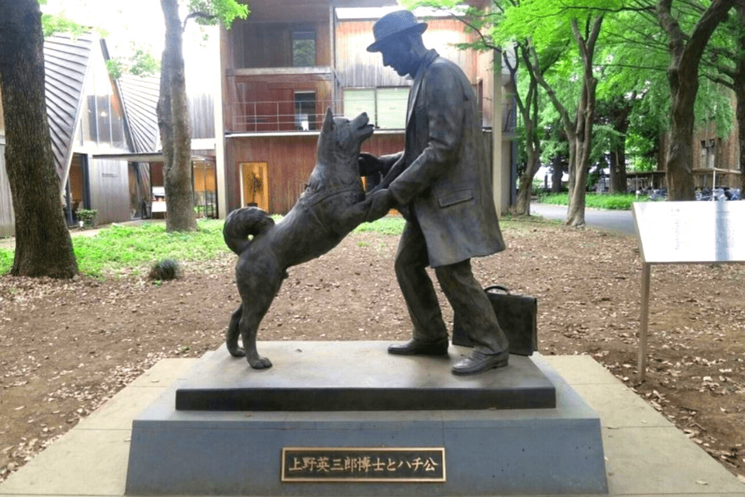 Statue d'Hachiko à Shibuya