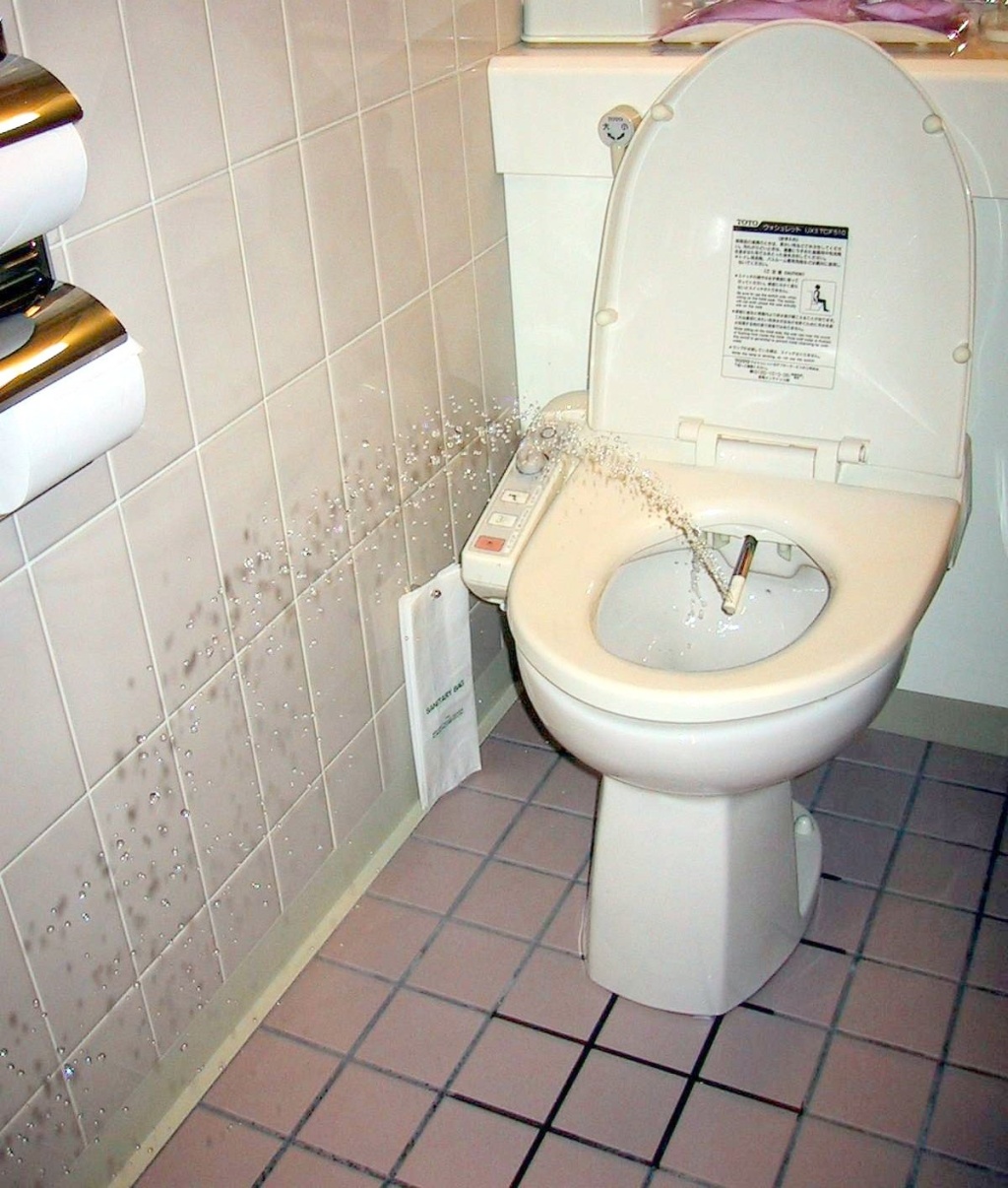 Comparaison entre toilettes japonaises traditionnelles et modernes