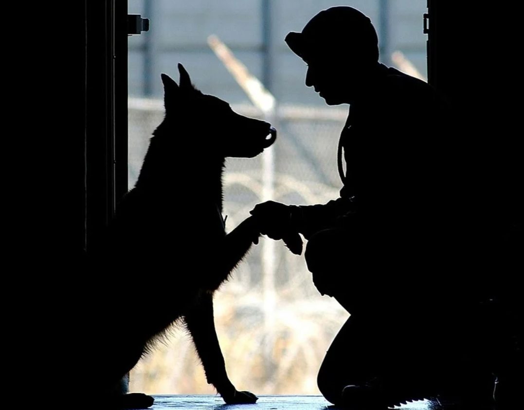 Famille réunie avec leur chien