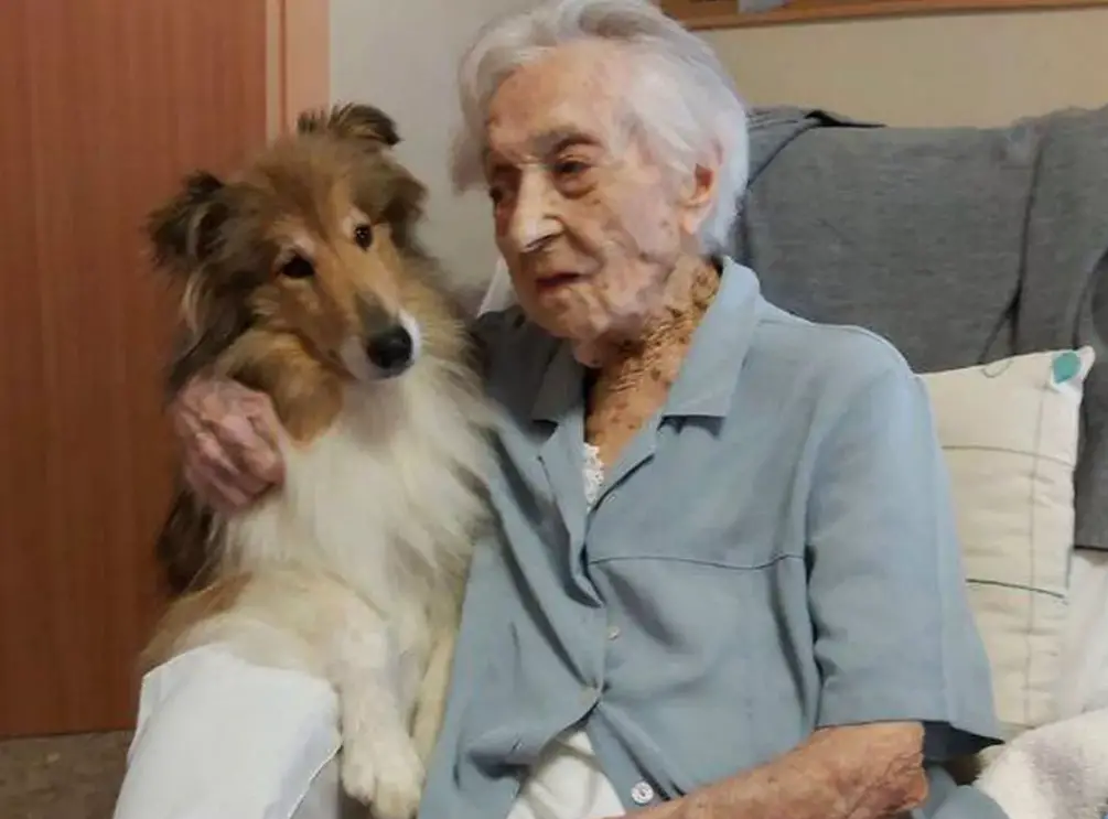 Analyse d'ADN en laboratoire