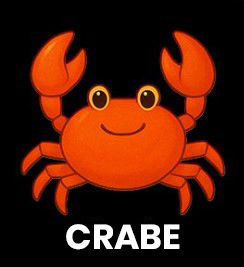 Illustration d'un crabe