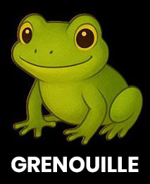 Illustration d'une grenouille