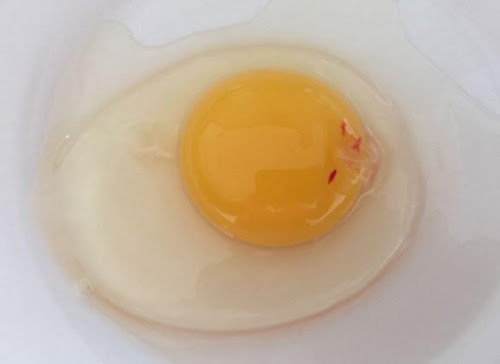 Œufs dans un bol avec une tache rouge visible