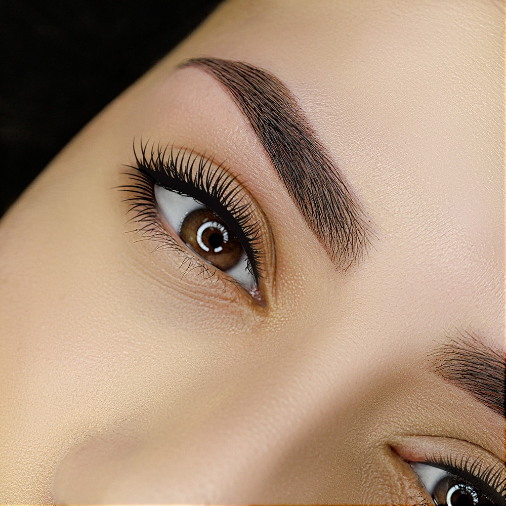 Sourcils parfaitement coiffés et structurés