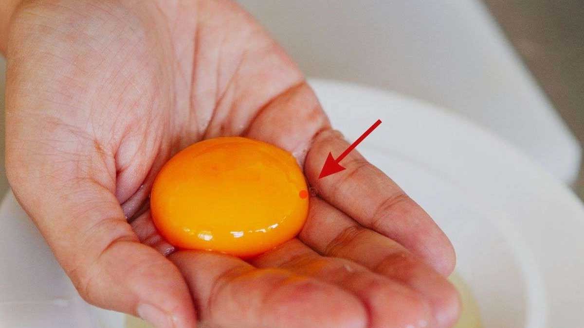 Œuf cassé montrant une petite tache rouge