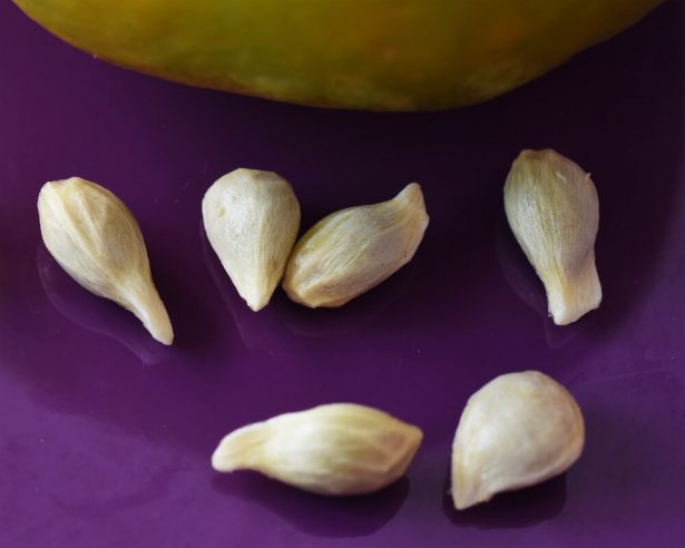 Graines de citron séchées