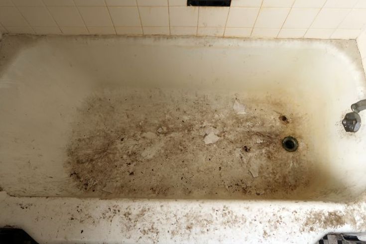 Ingrédients pour nettoyer la baignoire