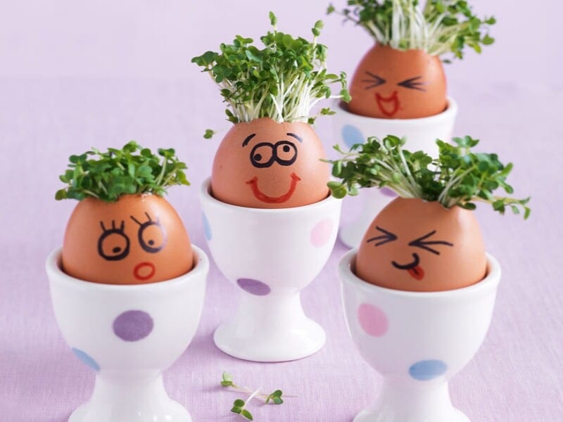 Coquilles d'œufs transformées en décoration