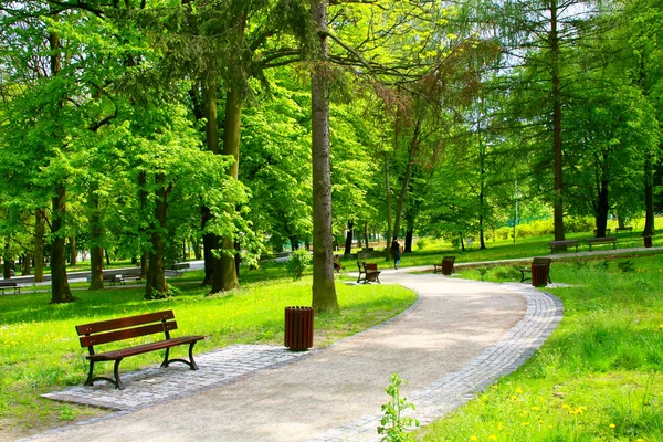 Parc ensoleillé avec bancs et arbres