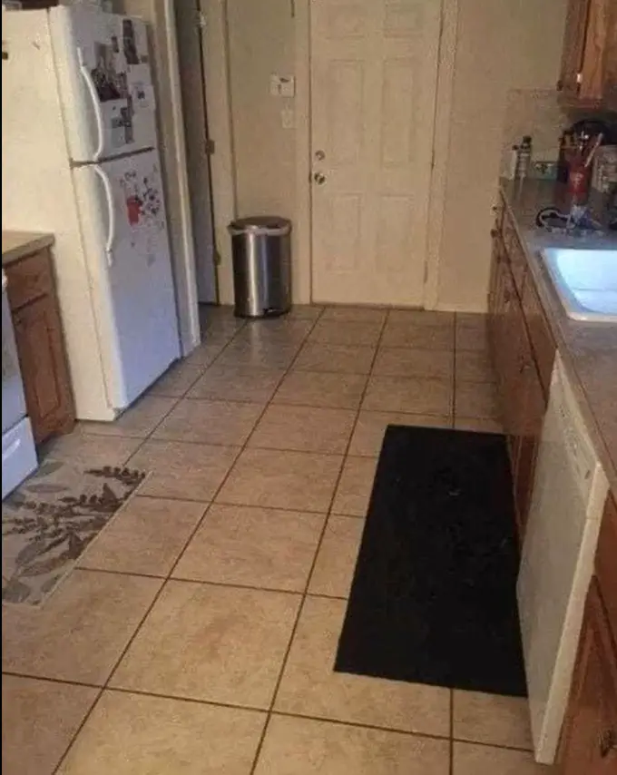 Photo d'un labrador noir camouflé dans une cuisine