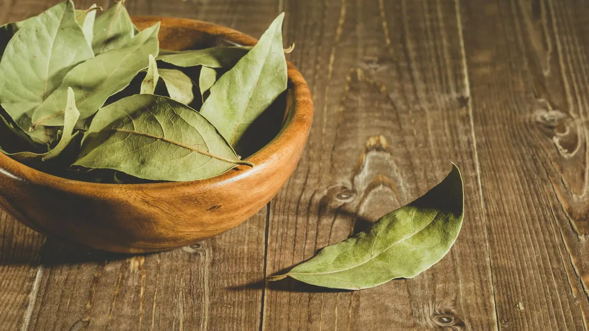 Feuilles de laurier séchées, posées sur un tissu naturel