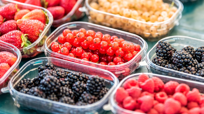 Illustration de fraises lavées et inspectées visuellement