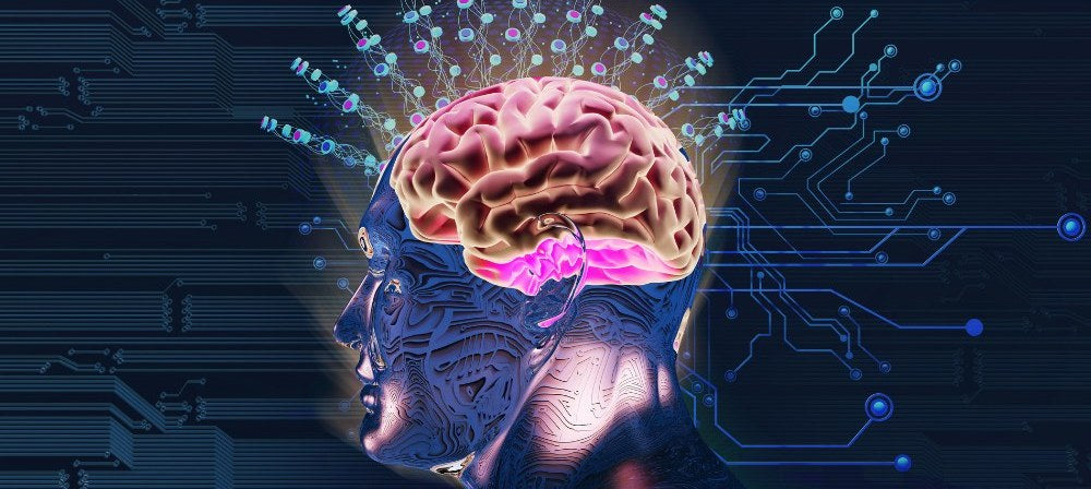 Illustration d'un cerveau en activité lors d'un jeu d'observation
