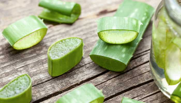 Aloe Vera pour bouche