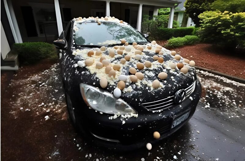 Voiture recouverte d'œufs avec un détail de décoration