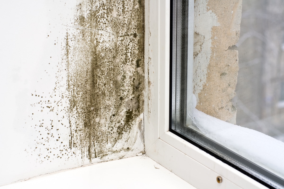 Moisissure sur un mur due à une mauvaise ventilation