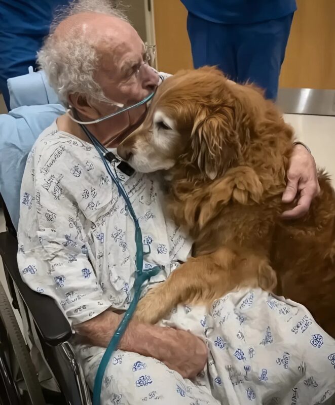 Chien posant sa tête sur son maître alité
