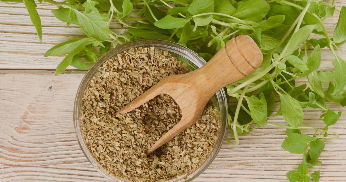 Origan frais et séché présenté dans des bols