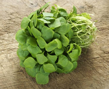 Pourpier frais prêt à être cuisiné