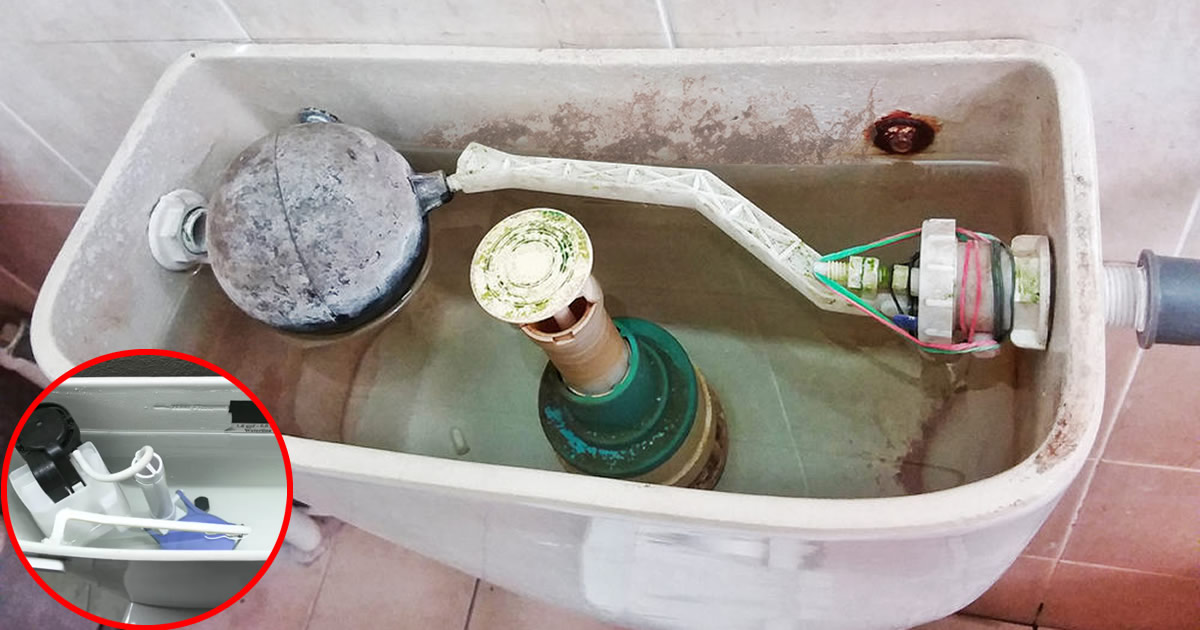 Nettoyage du réservoir WC