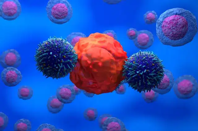 Illustration du fonctionnement des cellules CAR-T