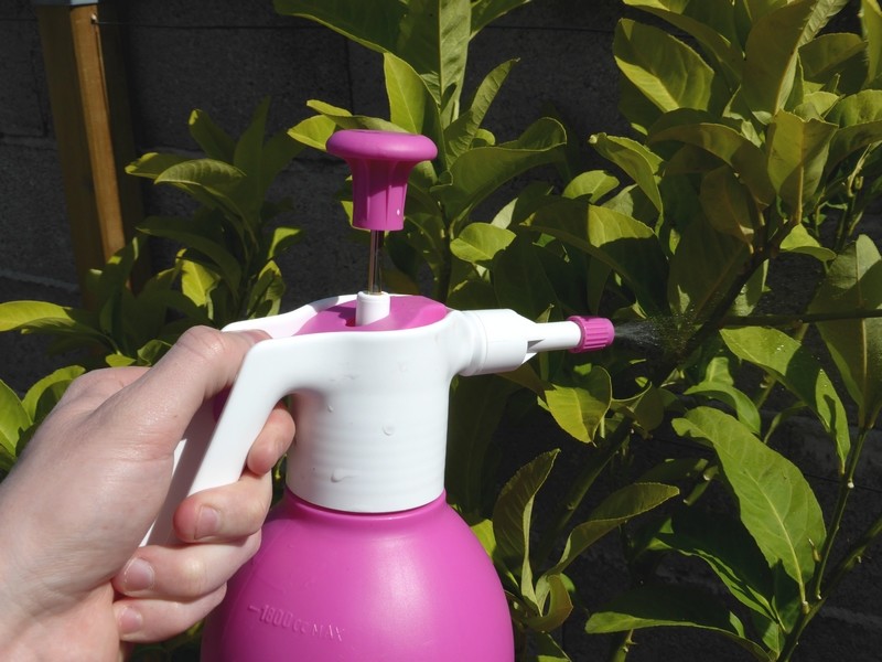 Solution naturelle pour jardin